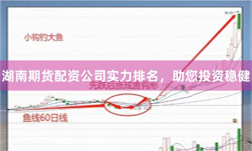 湖南期货配资公司实力排名，助您投资稳健