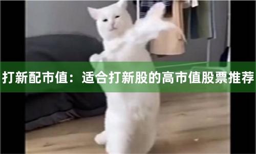 打新配市值：适合打新股的高市值股票推荐