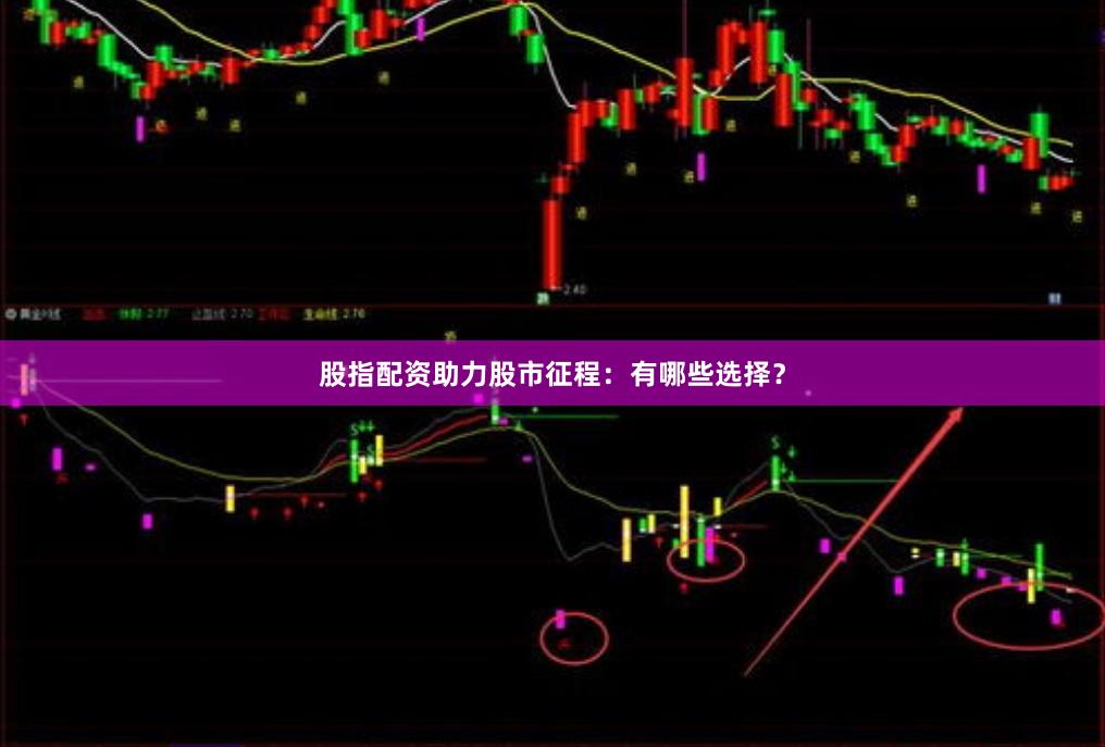 股指配资助力股市征程：有哪些选择？