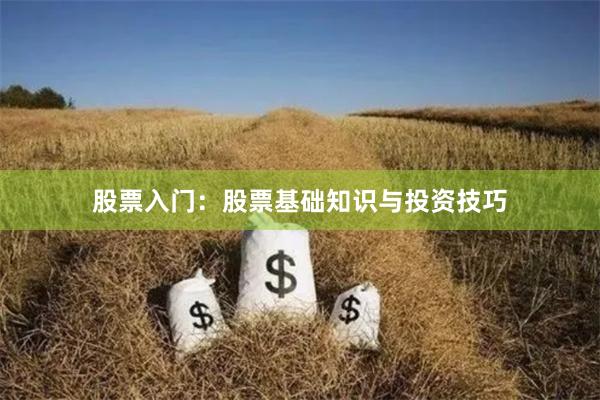 股票入门：股票基础知识与投资技巧