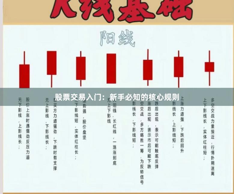 股票交易入门：新手必知的核心规则
