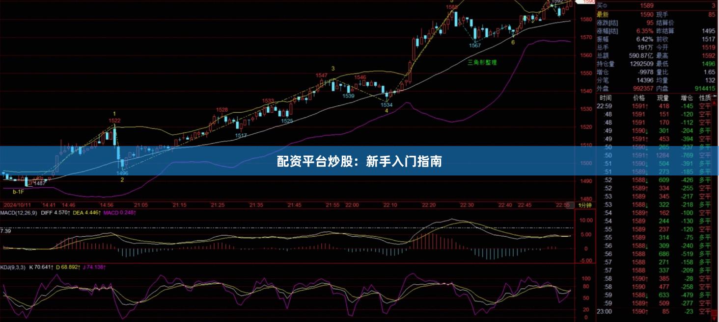配资平台炒股：新手入门指南