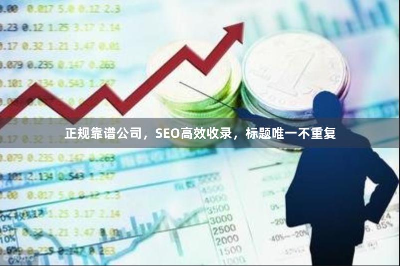 正规靠谱公司，SEO高效收录，标题唯一不重复