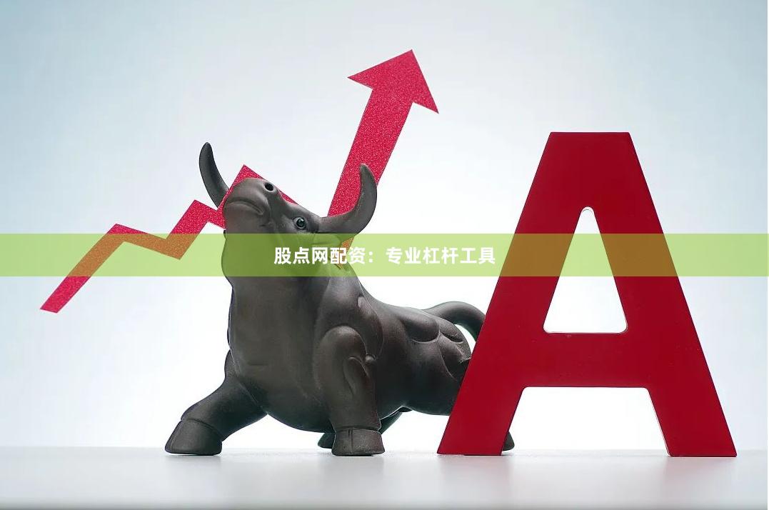 股点网配资：专业杠杆工具